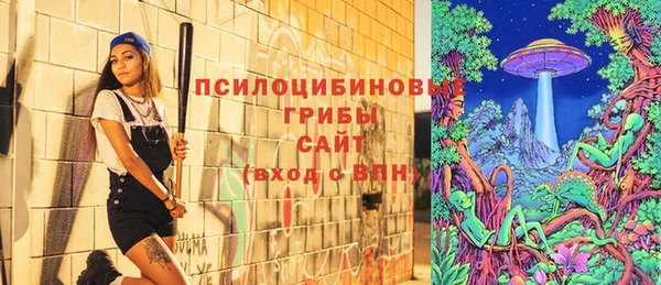 крисы Володарск