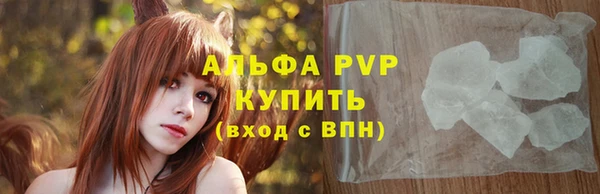 МДПВ Бородино