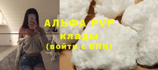 МДПВ Бородино