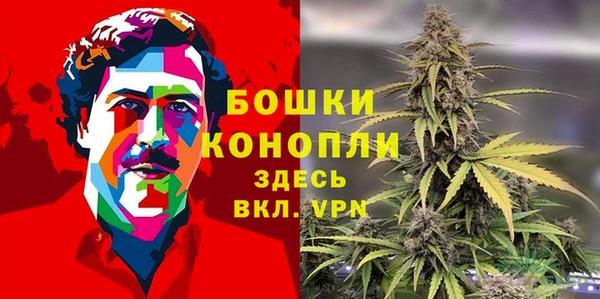 крисы Володарск