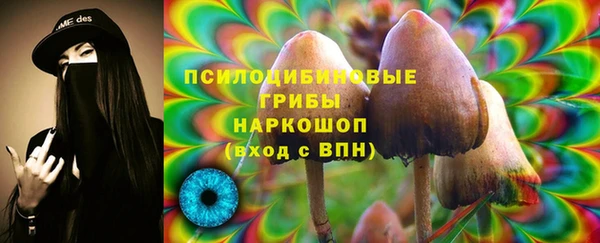 ГАЛЛЮЦИНОГЕННЫЕ ГРИБЫ Волосово