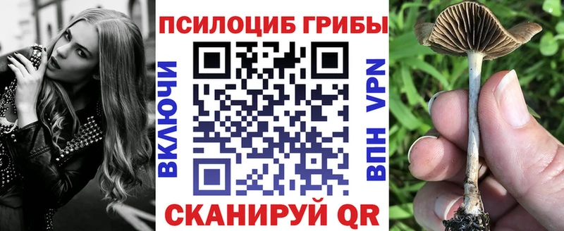 Псилоцибиновые грибы прущие грибы  Купить закладки  Майский 